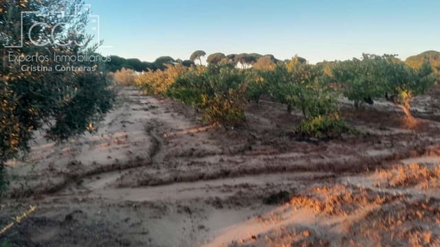 Building Plot for sale in Almonte - € 23,000 (Ref: 9371559)