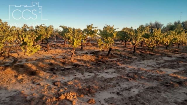 Building Plot for sale in Almonte - € 23,000 (Ref: 9371559)