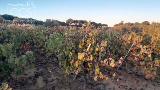 Building Plot for sale in Almonte - € 23,000 (Ref: 9371559)