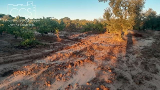 Building Plot for sale in Almonte - € 23,000 (Ref: 9371559)