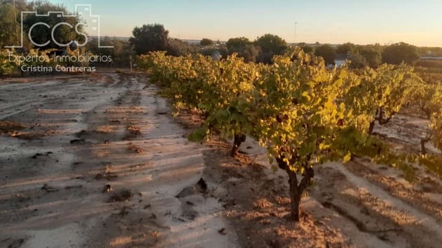 Building Plot for sale in Almonte - € 23,000 (Ref: 9371559)