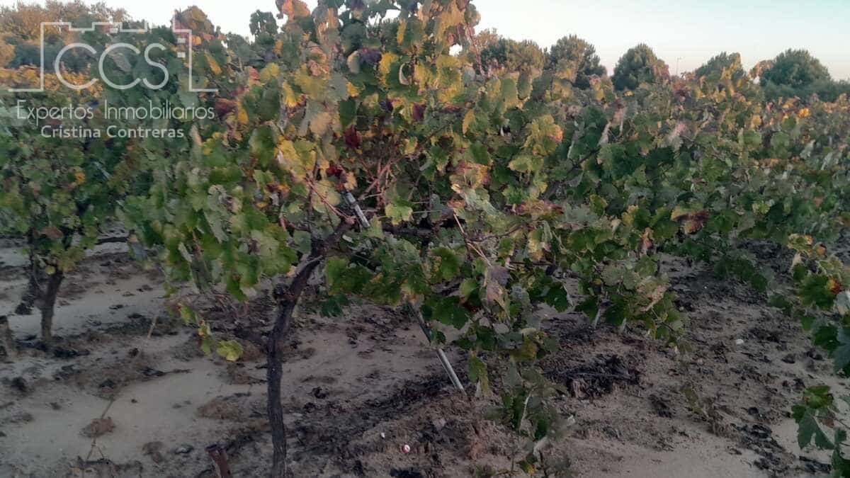 Building Plot for sale in Almonte - € 23,000 (Ref: 9371559)