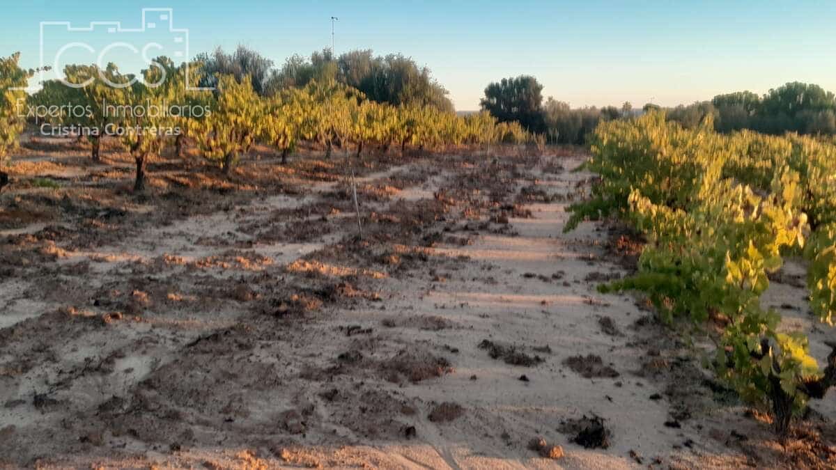 Building Plot for sale in Almonte - € 23,000 (Ref: 9371559)