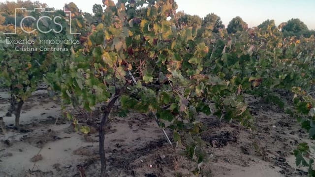 Building Plot for sale in Almonte - € 23,000 (Ref: 9371559)