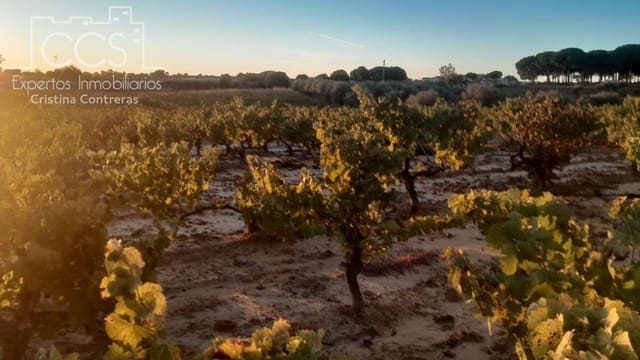 Building Plot for sale in Almonte - € 23,000 (Ref: 9371559)