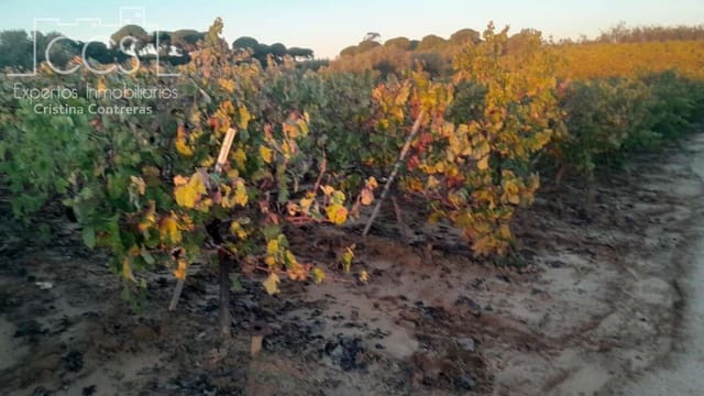 Building Plot for sale in Almonte - € 23,000 (Ref: 9371559)