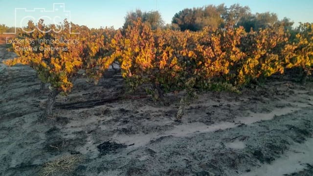 Building Plot for sale in Almonte - € 23,000 (Ref: 9371559)