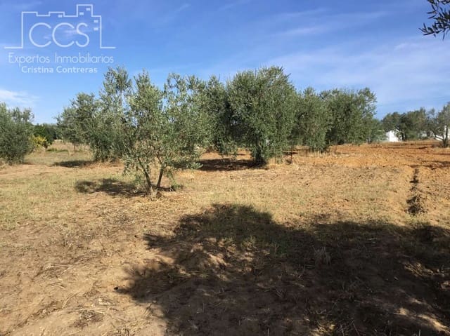 2 sovrum Finca/Hus på landet till salu i Almonte - 59 000 € (Ref: 9376502)