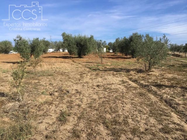 2 sovrum Finca/Hus på landet till salu i Almonte - 59 000 € (Ref: 9376502)