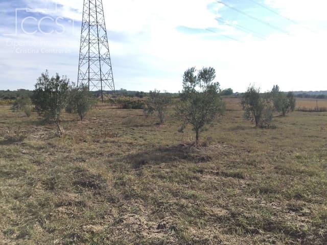 2 sovrum Finca/Hus på landet till salu i Almonte - 59 000 € (Ref: 9376502)