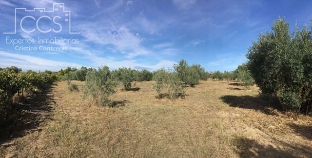 2 sovrum Finca/Hus på landet till salu i Almonte - 59 000 € (Ref: 9376502)