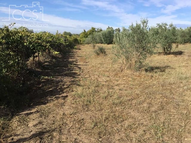 2 sovrum Finca/Hus på landet till salu i Almonte - 59 000 € (Ref: 9376502)