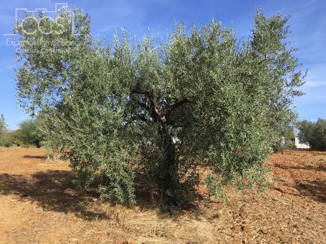 2 sovrum Finca/Hus på landet till salu i Almonte - 59 000 € (Ref: 9376502)