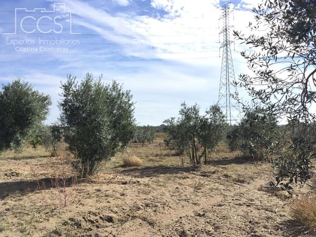 2 sovrum Finca/Hus på landet till salu i Almonte - 59 000 € (Ref: 9376502)