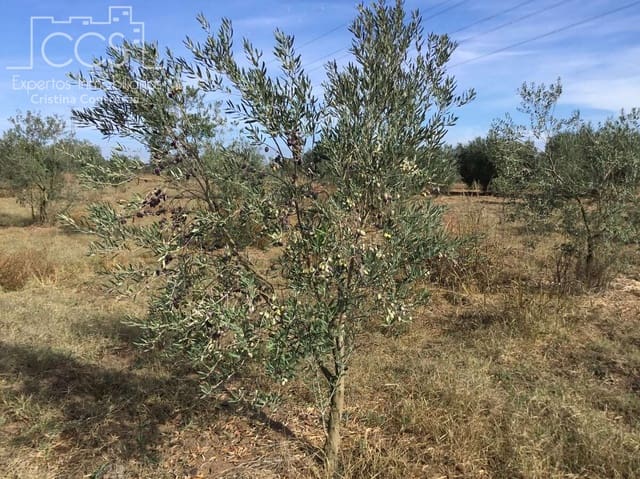 2 sovrum Finca/Hus på landet till salu i Almonte - 59 000 € (Ref: 9376502)