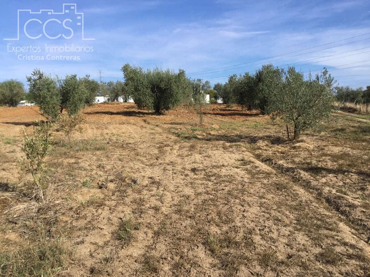 2 soveværelse Finca/Landehus til salg i Almonte - € 47.000 (Ref: 9376502)