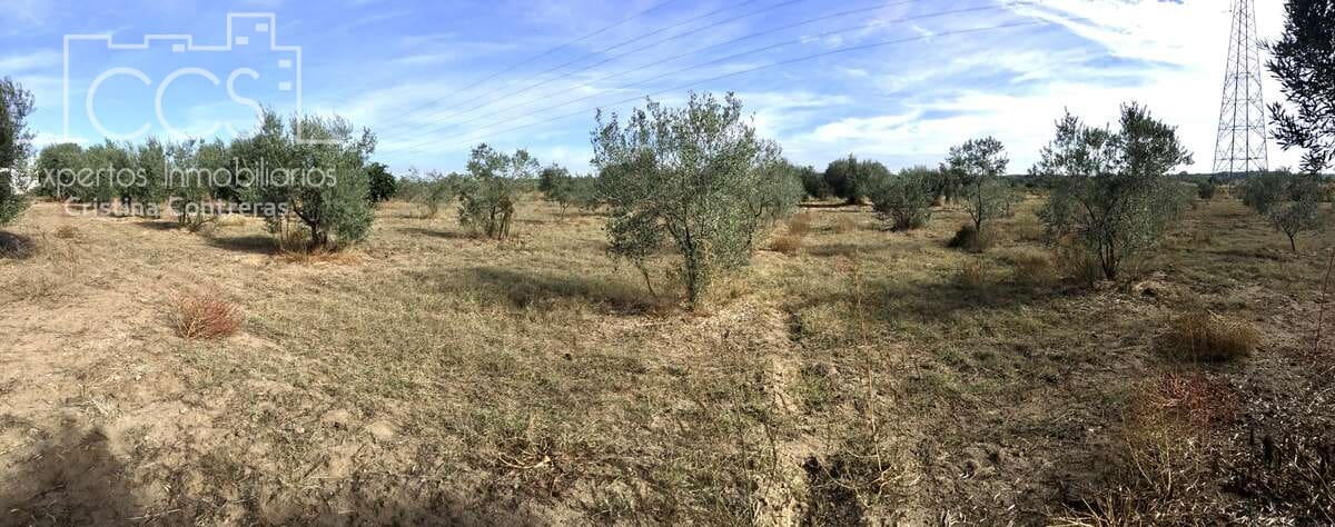 2 soveværelse Finca/Landehus til salg i Almonte - € 47.000 (Ref: 9376502)