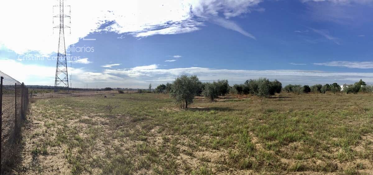 2 soveværelse Finca/Landehus til salg i Almonte - € 47.000 (Ref: 9376502)