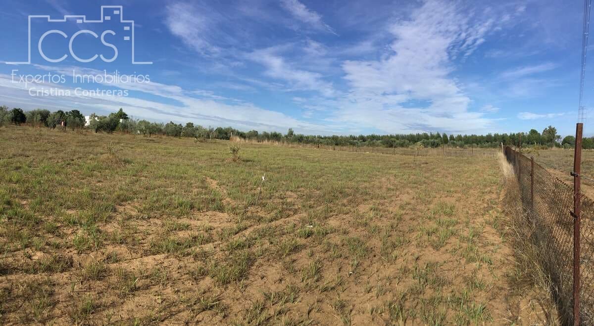 2 soveværelse Finca/Landehus til salg i Almonte - € 47.000 (Ref: 9376502)