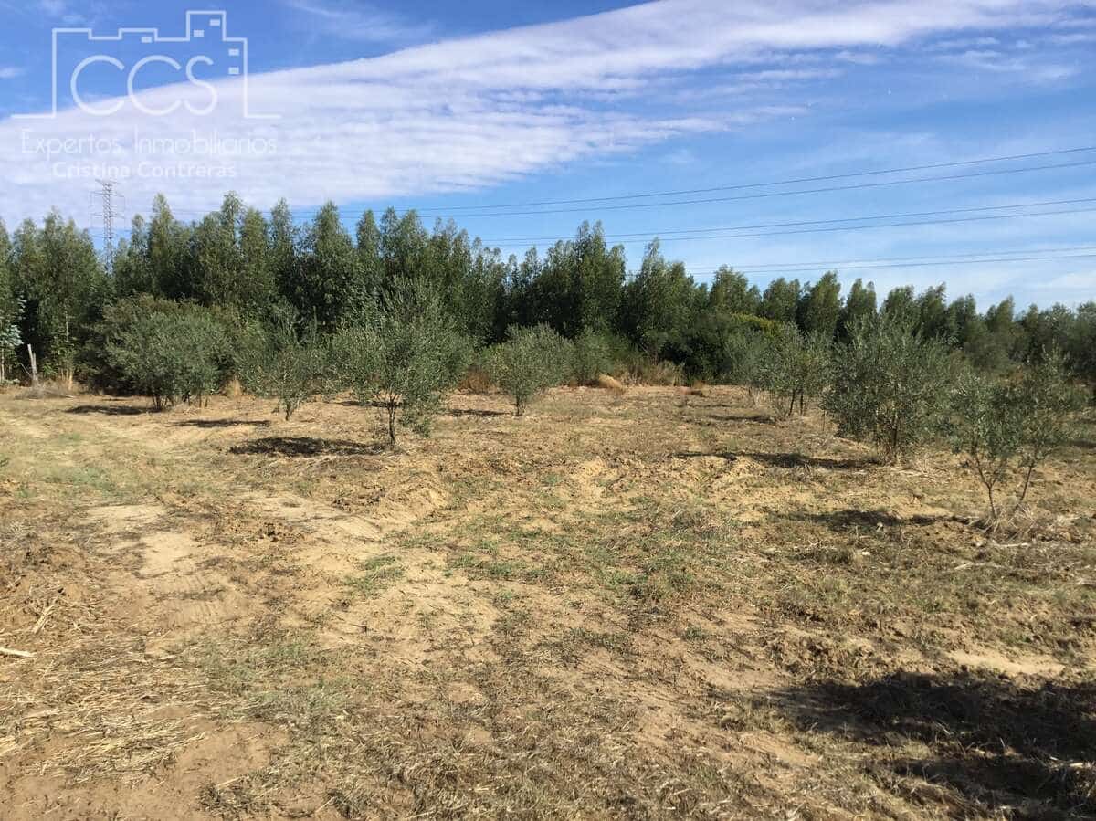 2 soveværelse Finca/Landehus til salg i Almonte - € 47.000 (Ref: 9376502)
