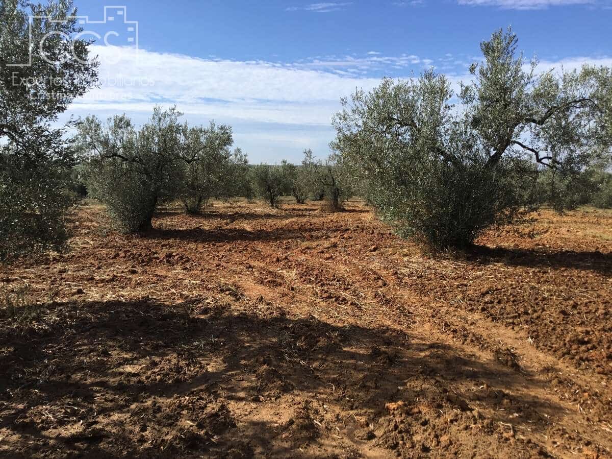 2 soveværelse Finca/Landehus til salg i Almonte - € 47.000 (Ref: 9376502)