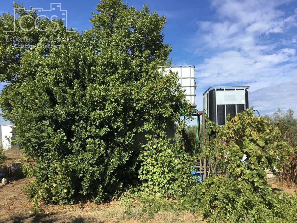 2 soveværelse Finca/Landehus til salg i Almonte - € 47.000 (Ref: 9376502)