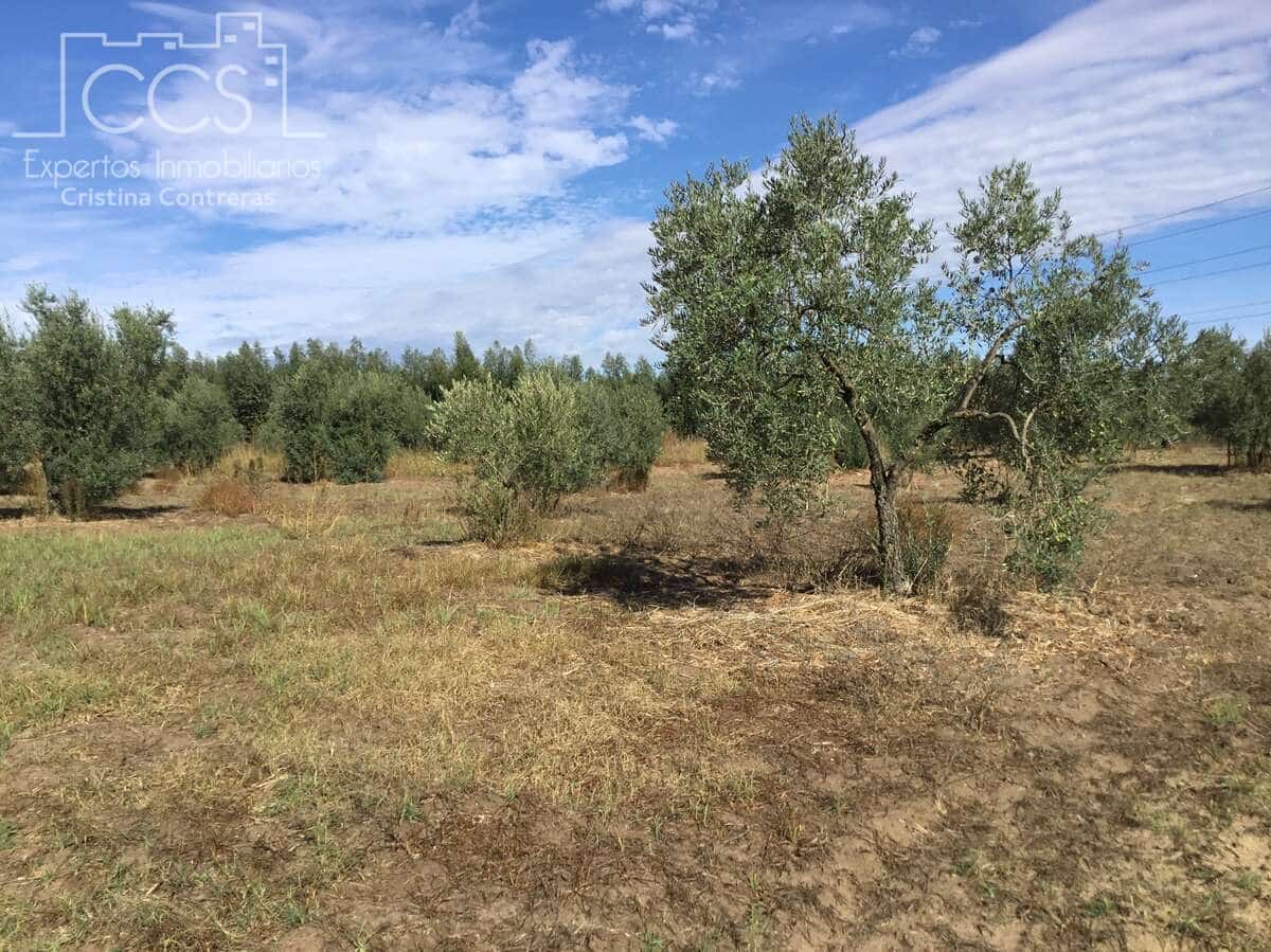 2 soveværelse Finca/Landehus til salg i Almonte - € 47.000 (Ref: 9376502)