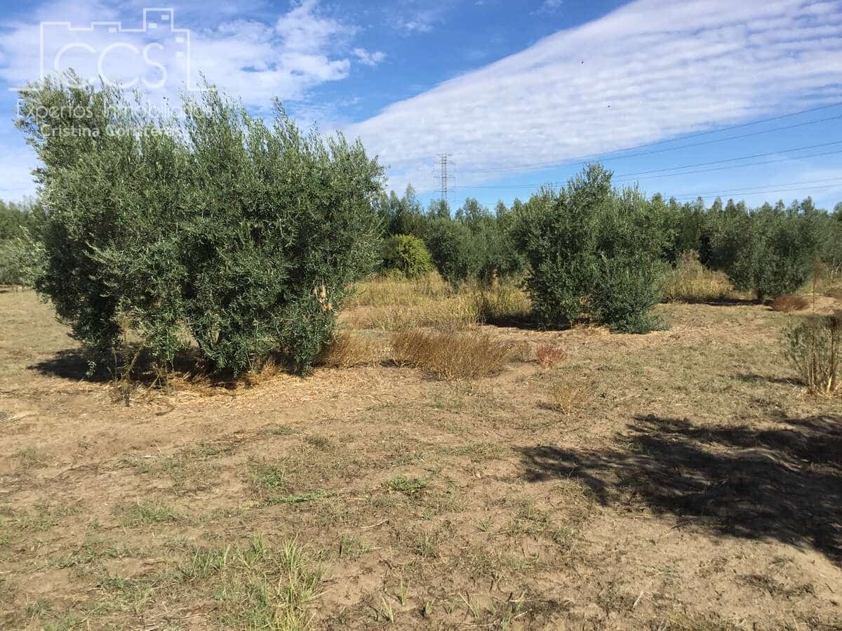 2 soveværelse Finca/Landehus til salg i Almonte - € 47.000 (Ref: 9376502)