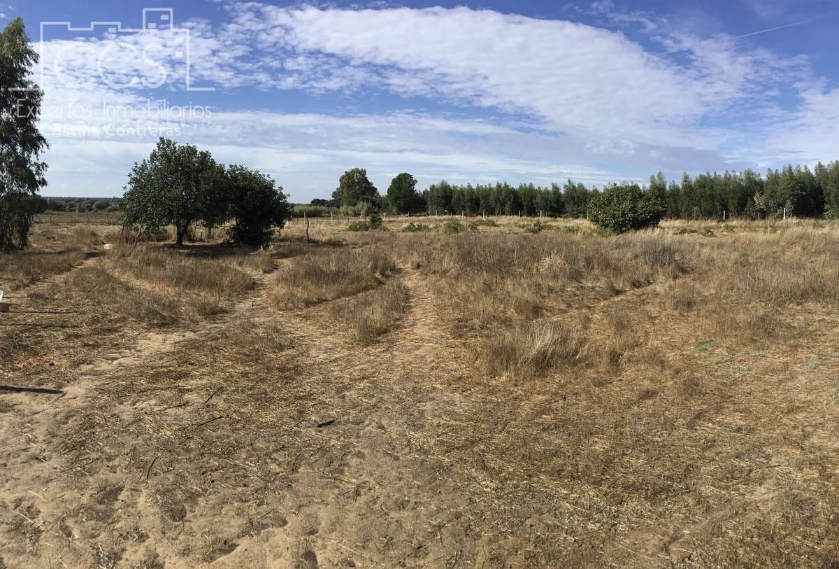2 soveværelse Finca/Landehus til salg i Almonte - € 47.000 (Ref: 9376502)