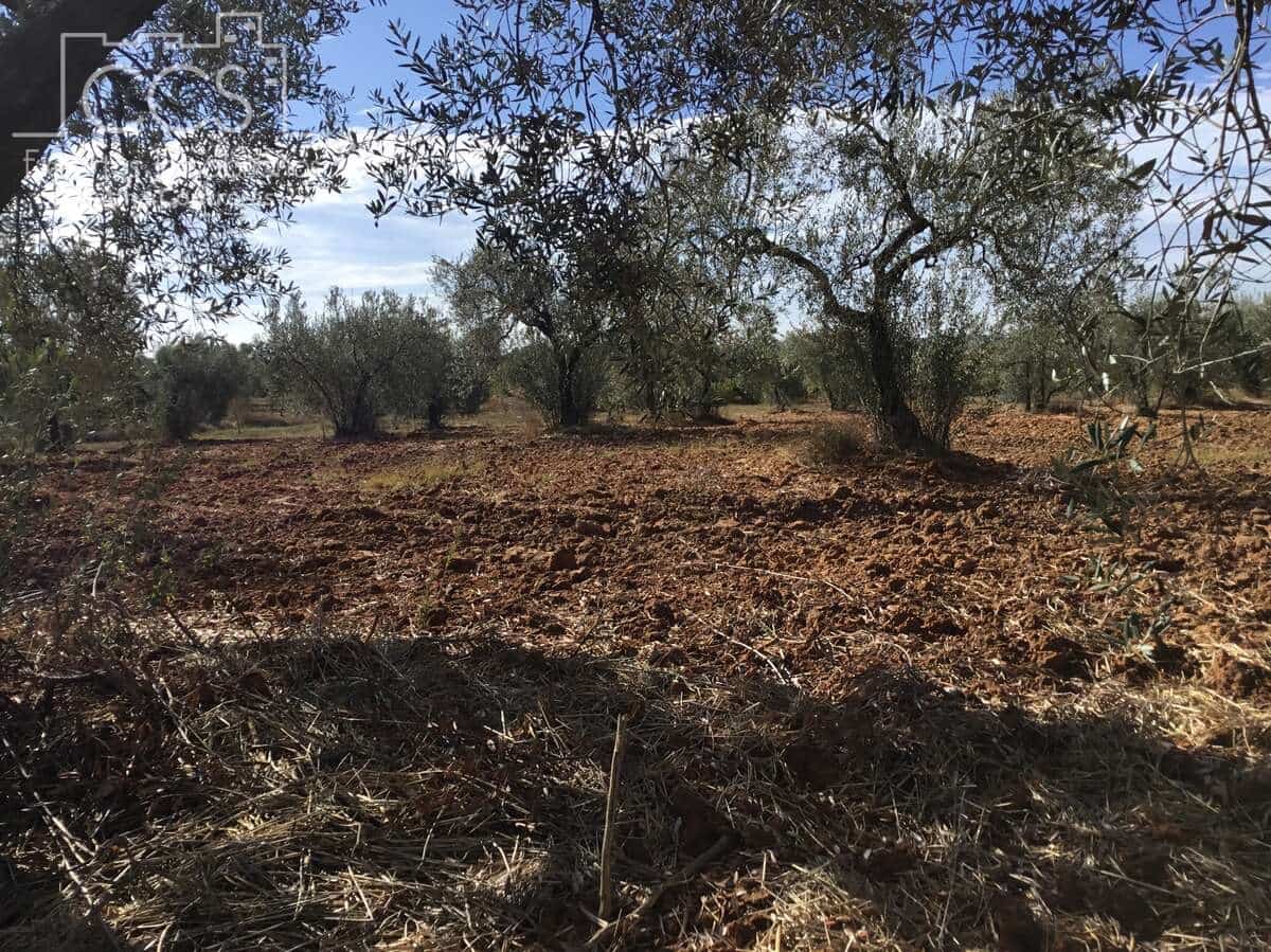2 soveværelse Finca/Landehus til salg i Almonte - € 47.000 (Ref: 9376502)