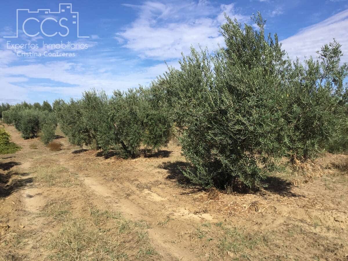 2 soveværelse Finca/Landehus til salg i Almonte - € 47.000 (Ref: 9376502)
