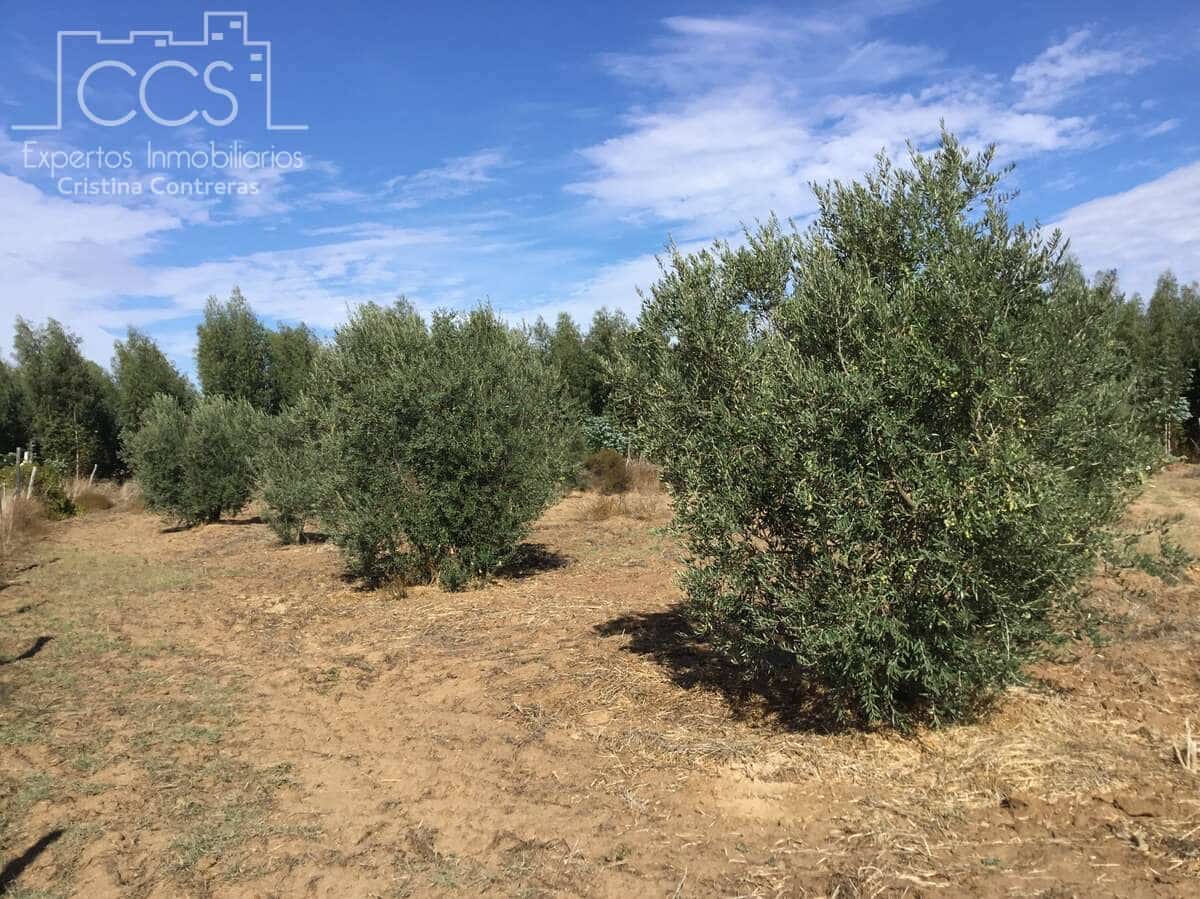 2 soveværelse Finca/Landehus til salg i Almonte - € 47.000 (Ref: 9376502)