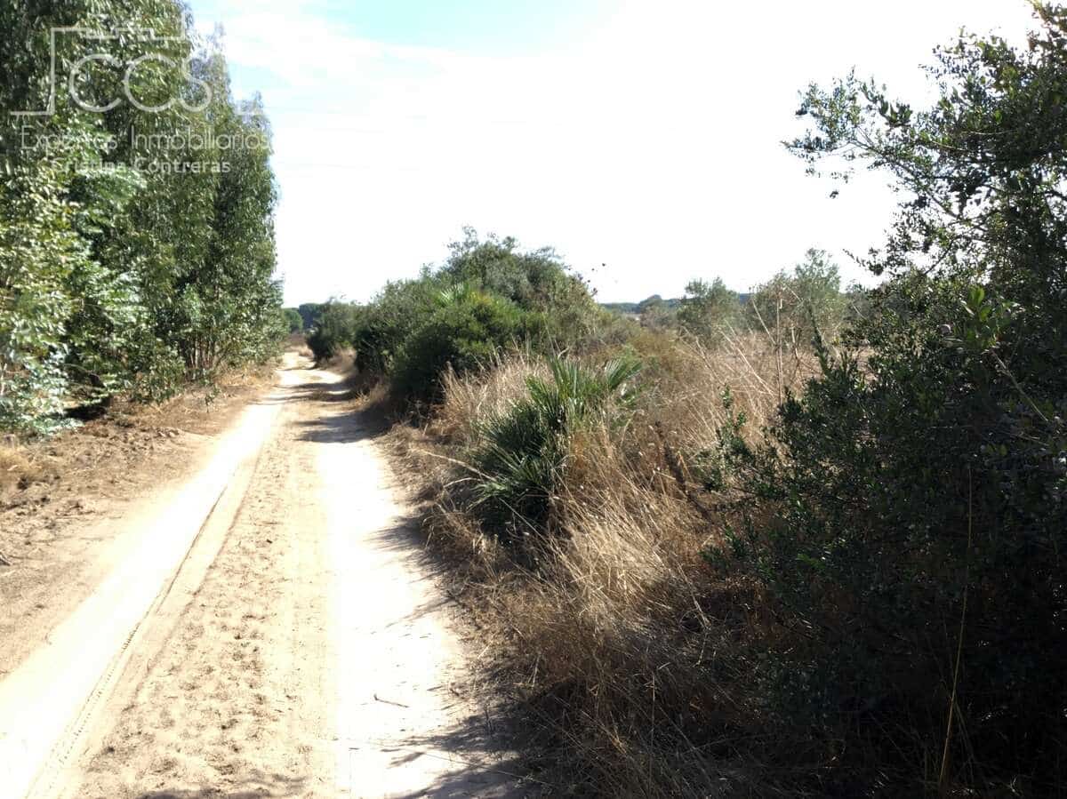 2 soveværelse Finca/Landehus til salg i Almonte - € 47.000 (Ref: 9376502)