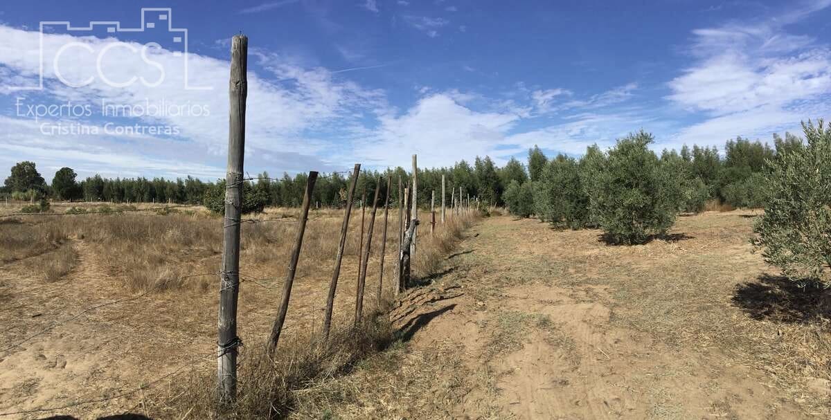 2 soveværelse Finca/Landehus til salg i Almonte - € 47.000 (Ref: 9376502)
