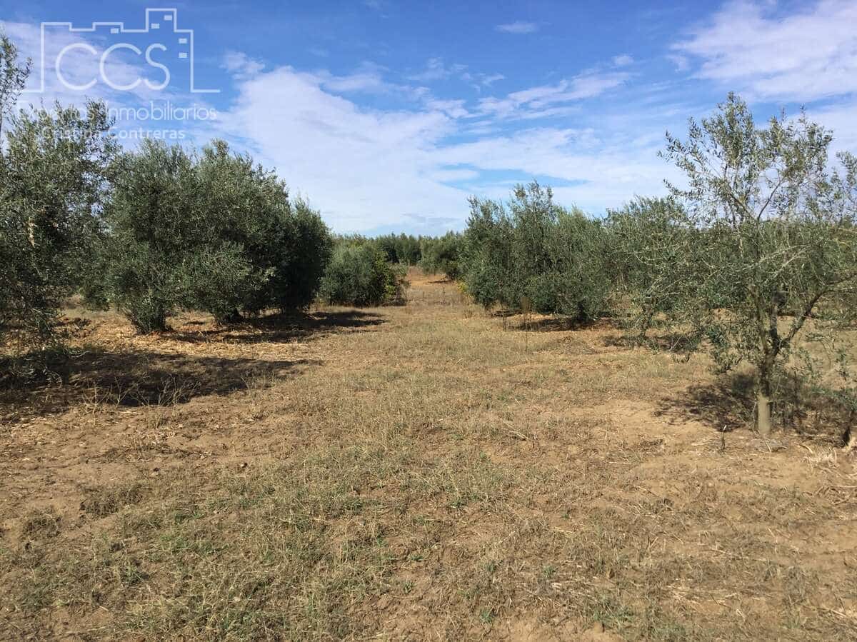 2 soveværelse Finca/Landehus til salg i Almonte - € 47.000 (Ref: 9376502)