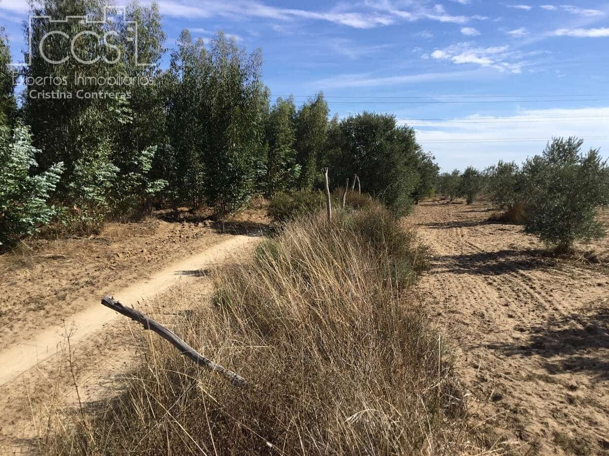 2 soveværelse Finca/Landehus til salg i Almonte - € 47.000 (Ref: 9376502)