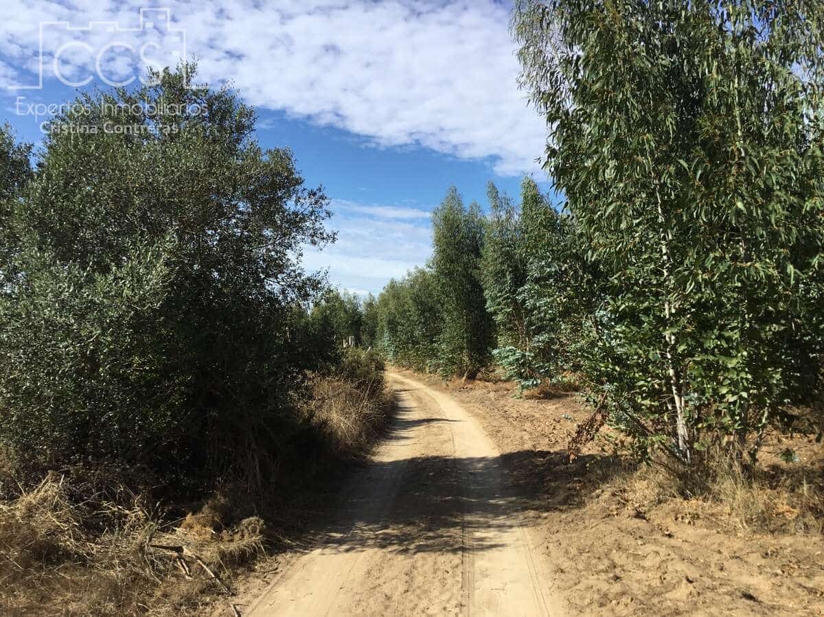 2 soveværelse Finca/Landehus til salg i Almonte - € 47.000 (Ref: 9376502)