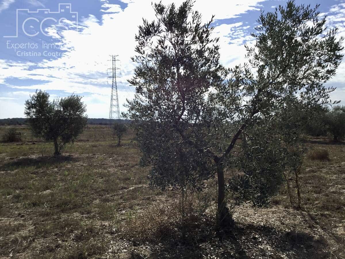2 soveværelse Finca/Landehus til salg i Almonte - € 47.000 (Ref: 9376502)