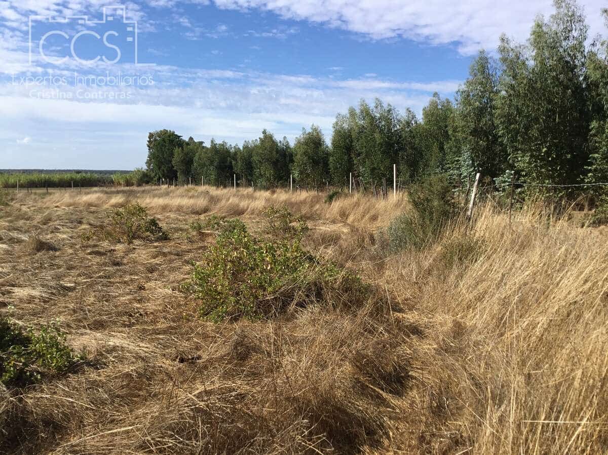 2 soveværelse Finca/Landehus til salg i Almonte - € 47.000 (Ref: 9376502)