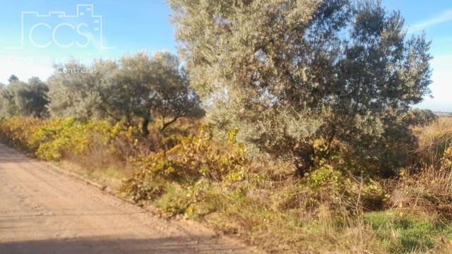 Building Plot for sale in Almonte - € 8,000 (Ref: 9406095)