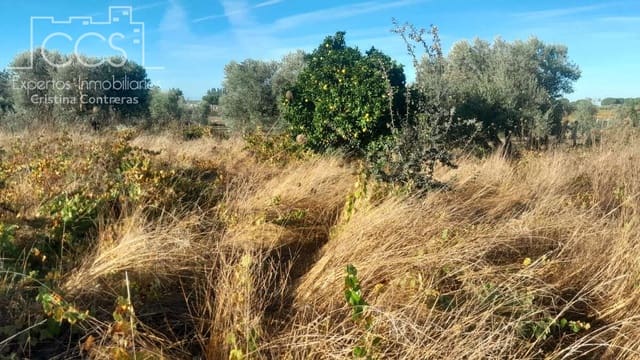 Building Plot for sale in Almonte - € 8,000 (Ref: 9406095)