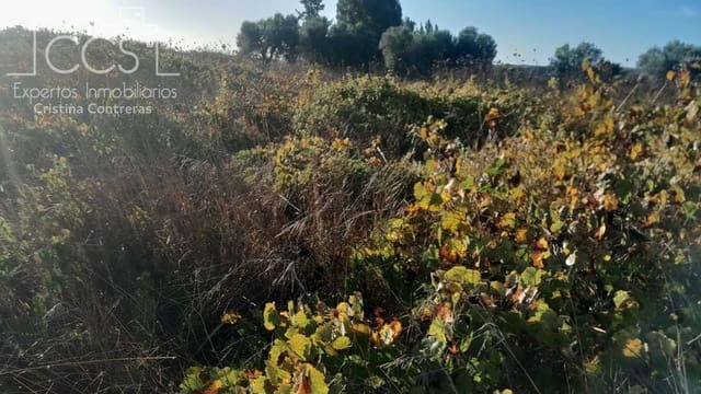 Building Plot for sale in Almonte - € 8,000 (Ref: 9406095)