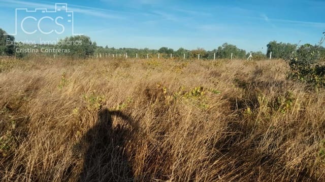 Building Plot for sale in Almonte - € 8,000 (Ref: 9406095)