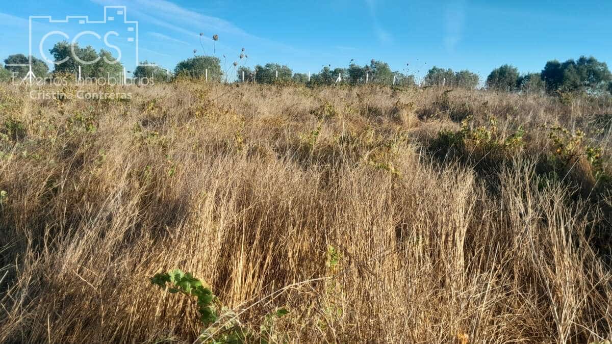 Byggetomt til salgs i Almonte - € 8 000 (Ref: 9406095)