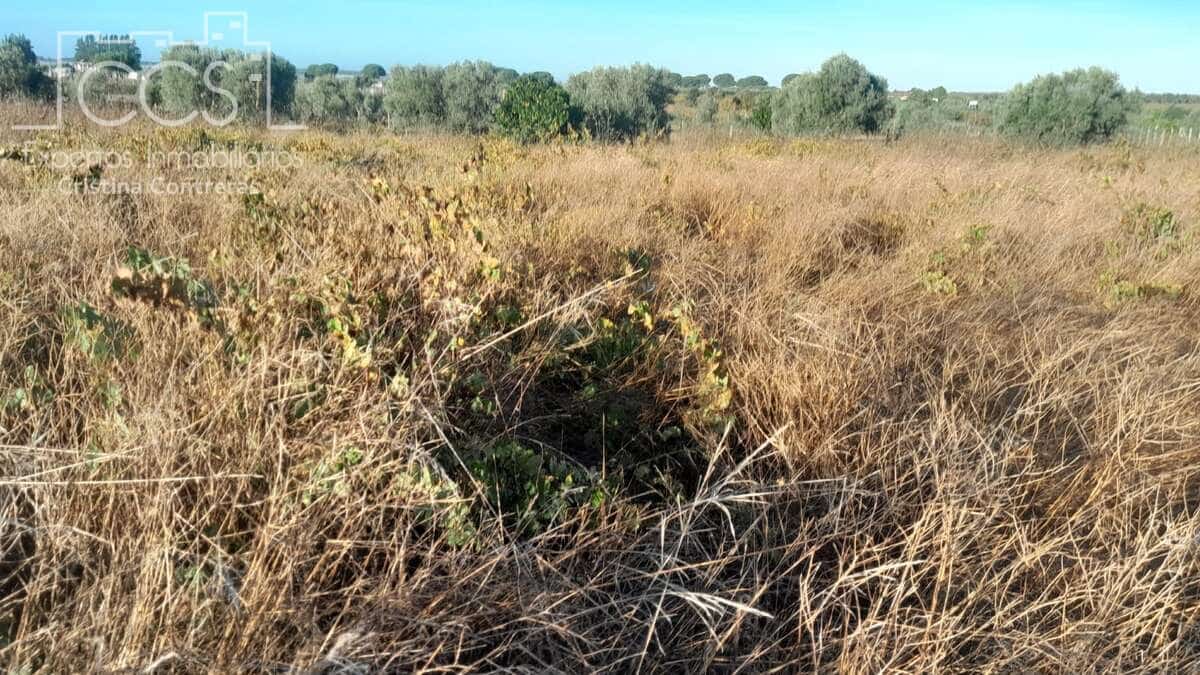 Byggetomt til salgs i Almonte - € 8 000 (Ref: 9406095)