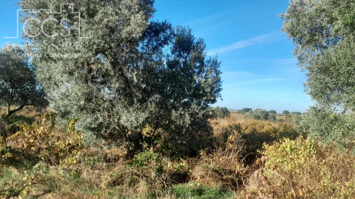 Byggetomt til salgs i Almonte - € 8 000 (Ref: 9406095)