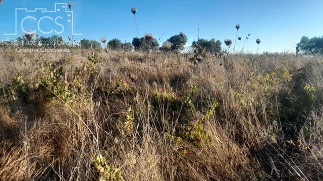 Building Plot for sale in Almonte - € 8,000 (Ref: 9406095)