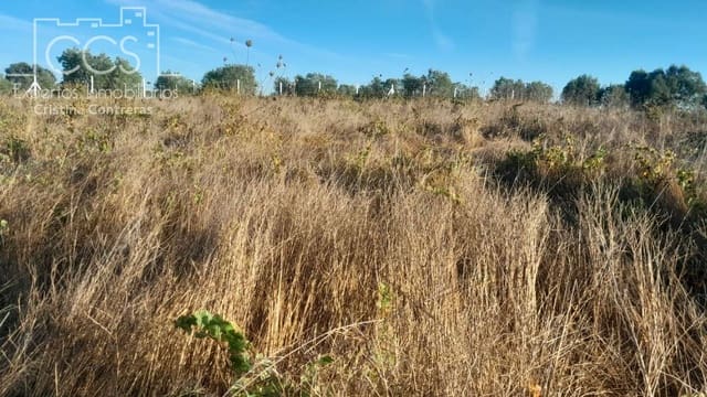 Building Plot for sale in Almonte - € 8,000 (Ref: 9406095)