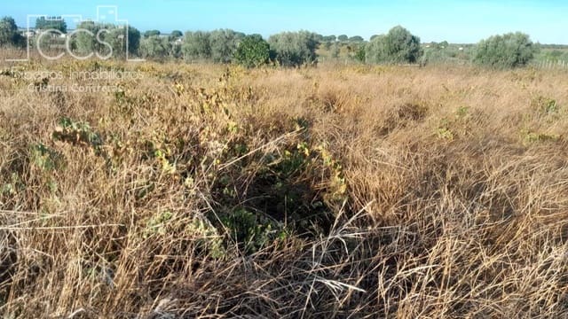 Building Plot for sale in Almonte - € 8,000 (Ref: 9406095)