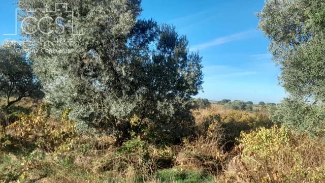 Building Plot for sale in Almonte - € 8,000 (Ref: 9406095)